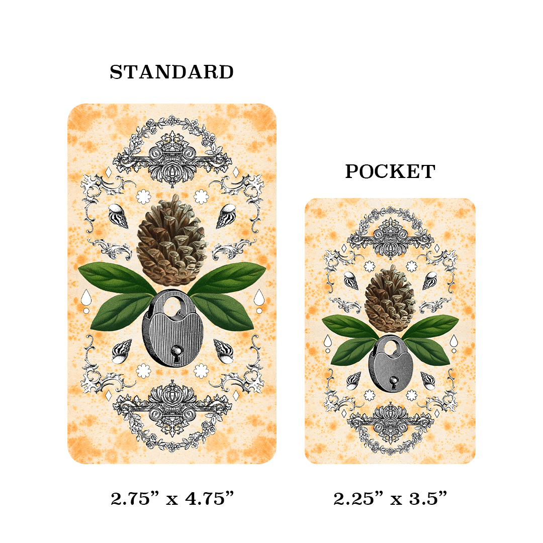 Coastal Curiosities Oracle Deck Pocket Edition