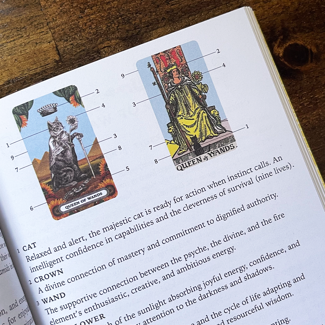 The Peculiar Pathways Tarot Deck and Wonders & Wanderings Supplement Book