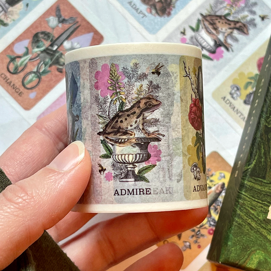 Coastal Curiosities Washi Tape 5 Pack