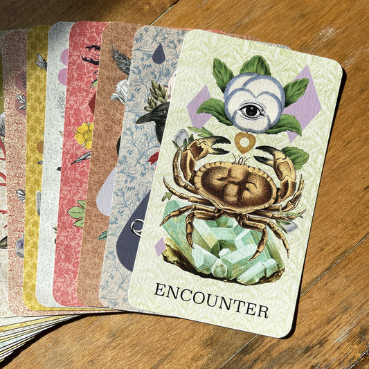 Coastal Curiosities Oracle Deck 1st Edition