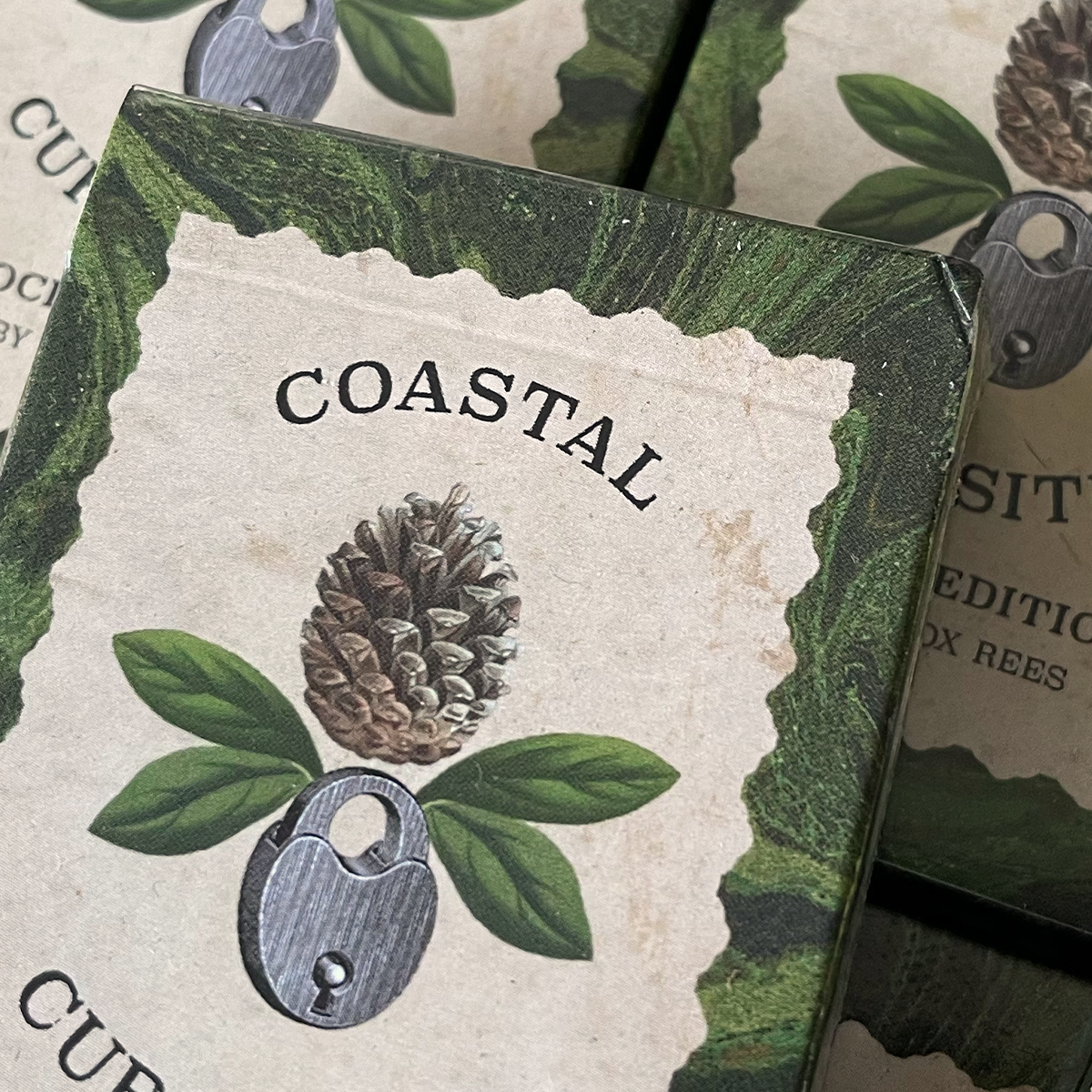 *Seconds* Coastal Curiosities Oracle Deck Pocket Edition