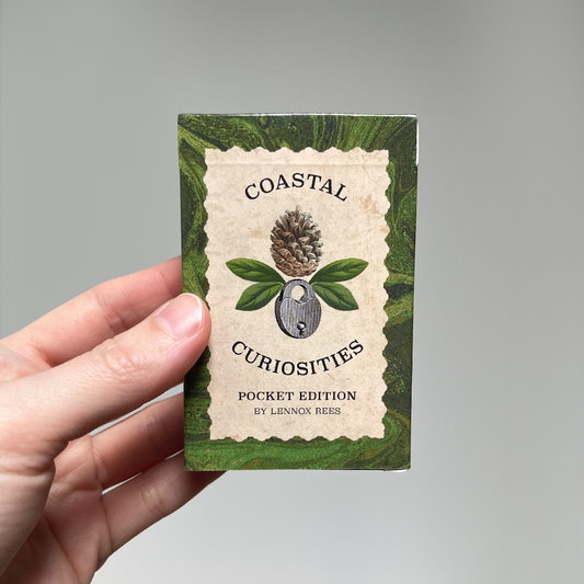 Coastal Curiosities Oracle Deck Pocket Edition