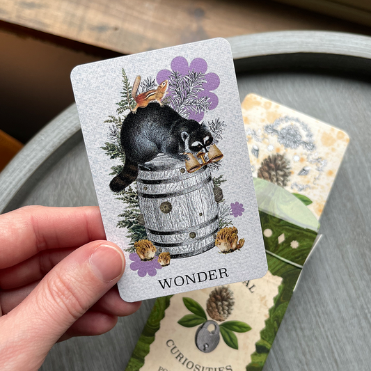 Coastal Curiosities Oracle Deck Pocket Edition