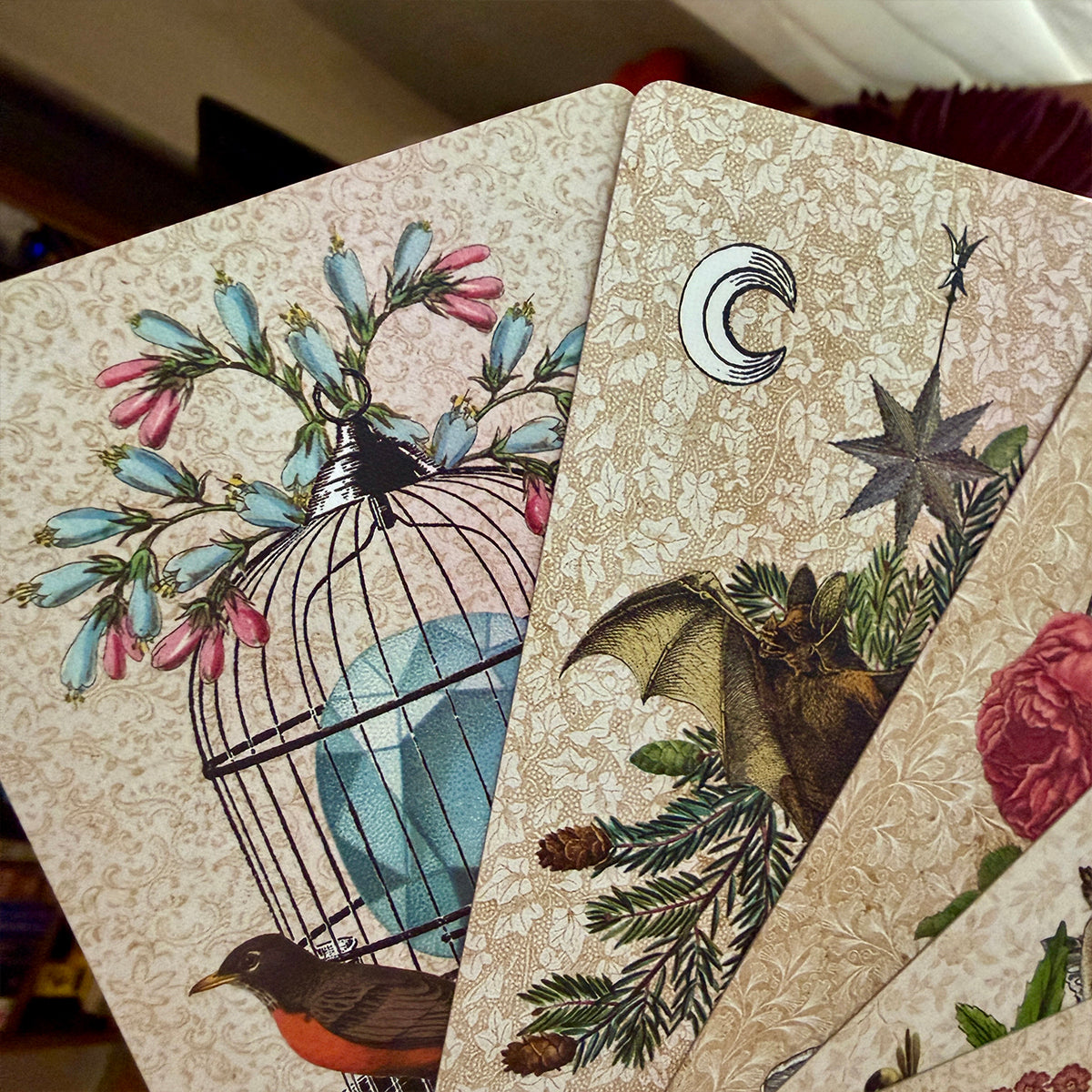 Seconds B Coastal Curiosities Oracle Deck Naturalist Edition