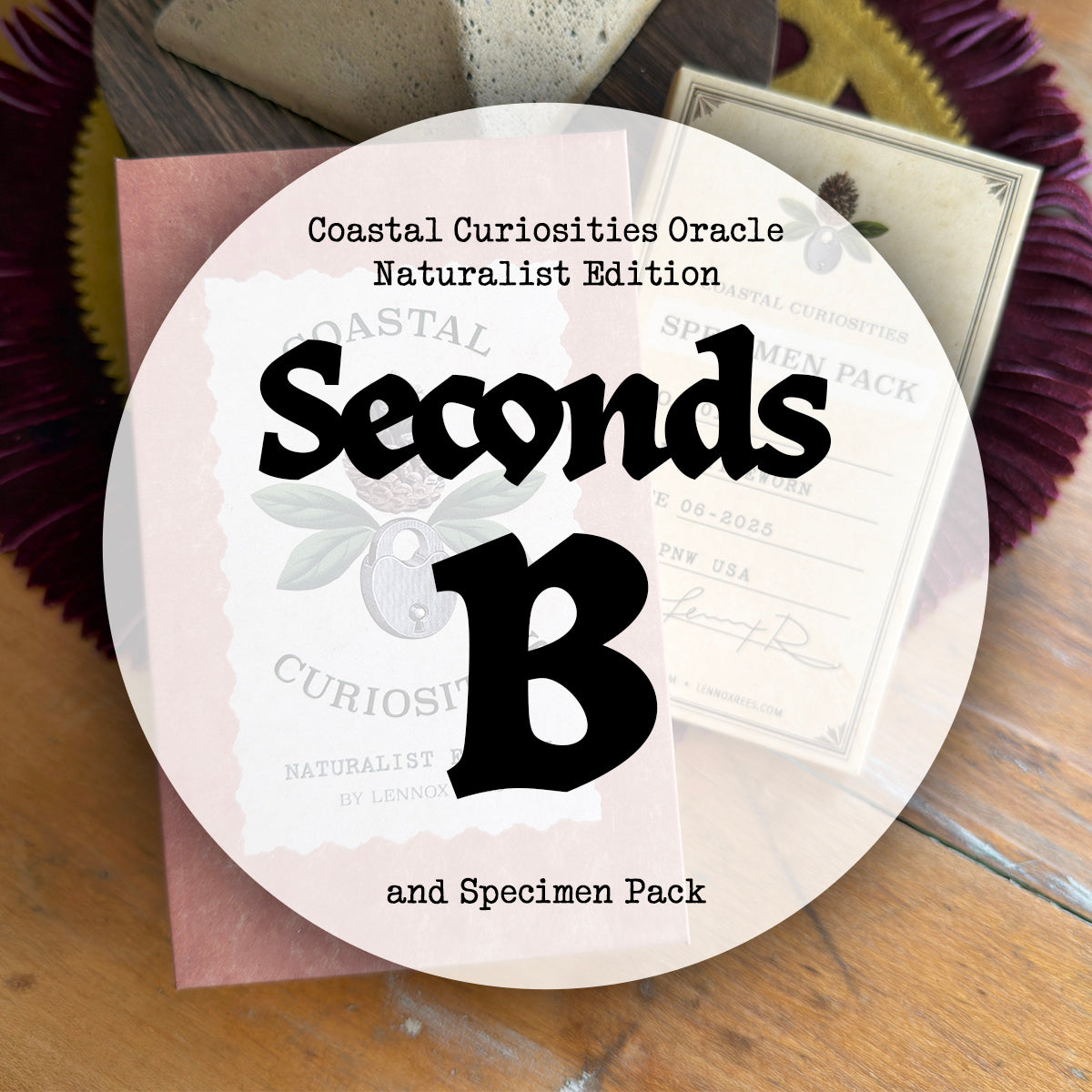 Seconds B Coastal Curiosities Oracle Deck Naturalist Edition