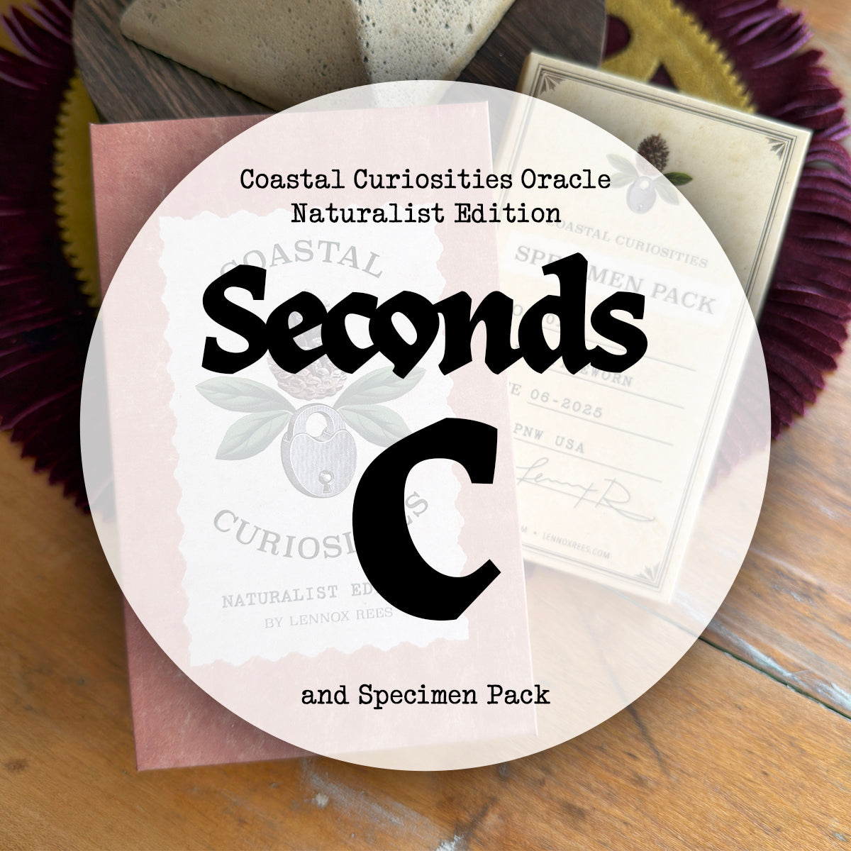 Seconds C Coastal Curiosities Oracle Deck Naturalist Edition