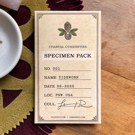 Coastal Curiosities Naturalist Edition Specimen Pack