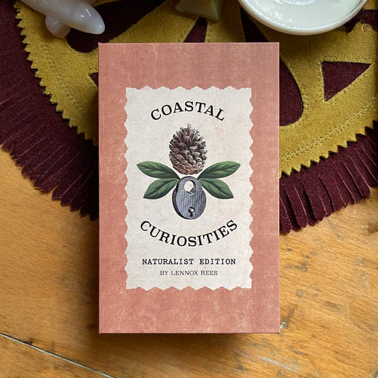 Coastal Curiosities Oracle Deck Naturalist Edition