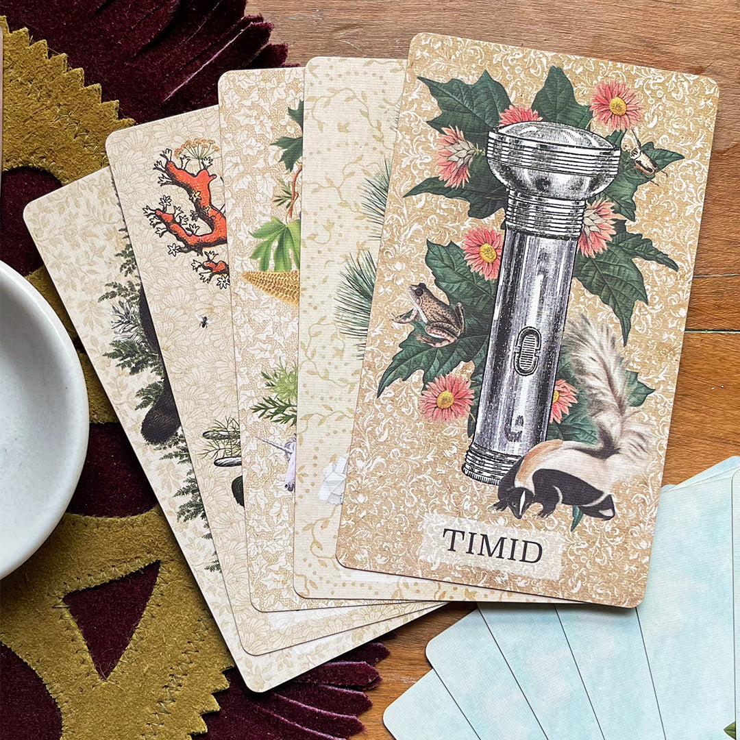 Coastal Curiosities Oracle Deck Naturalist Edition