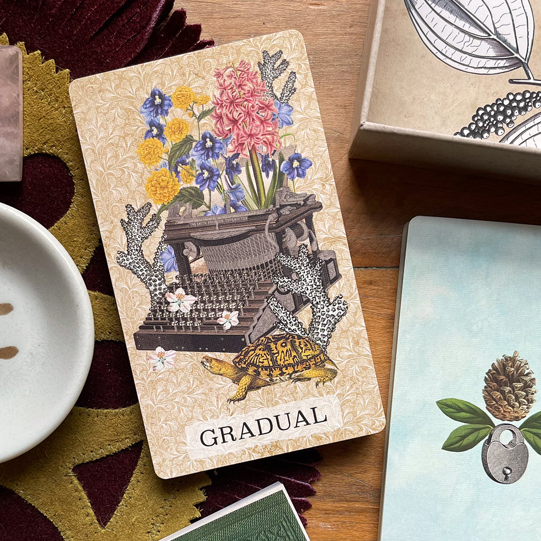 Coastal Curiosities Oracle Deck Naturalist Edition