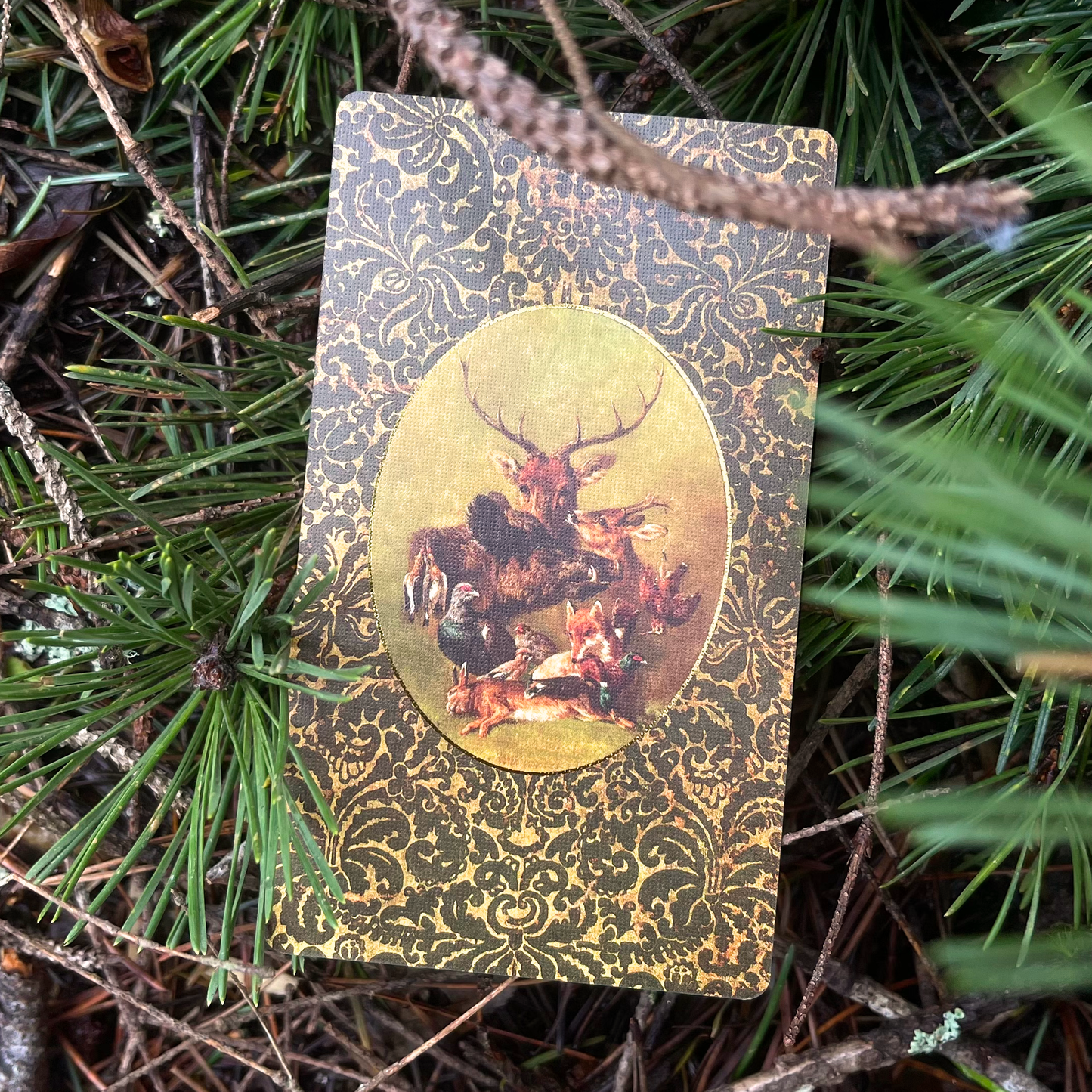 Folkloric Forest Tarot