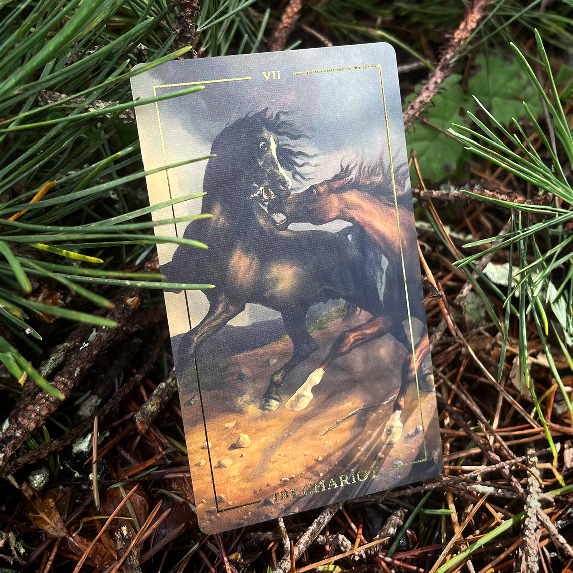 Folkloric Forest Tarot