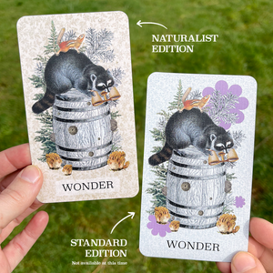PRE-ORDER Coastal Curiosities Oracle Deck Naturalist Edition