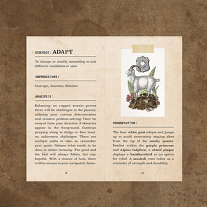 PRE-ORDER Coastal Curiosities Oracle Deck Naturalist Edition