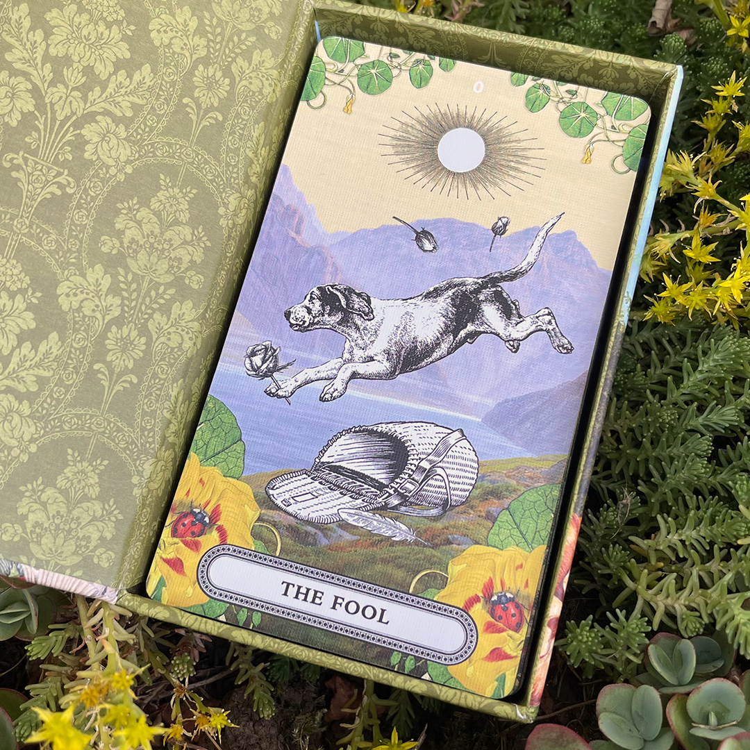 The Peculiar Pathways Tarot Deck