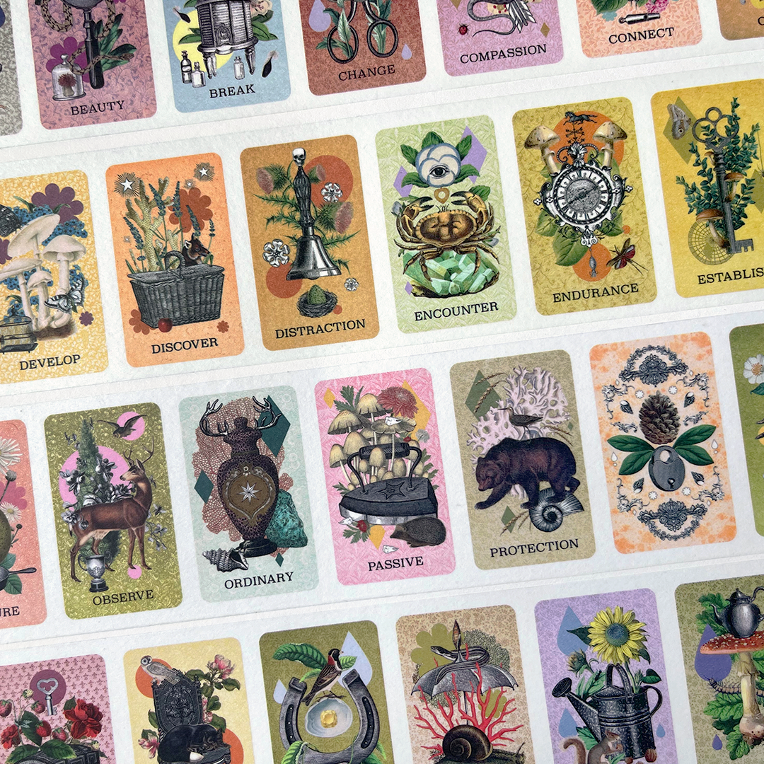 Coastal Curiosities Washi Tape 5 Pack