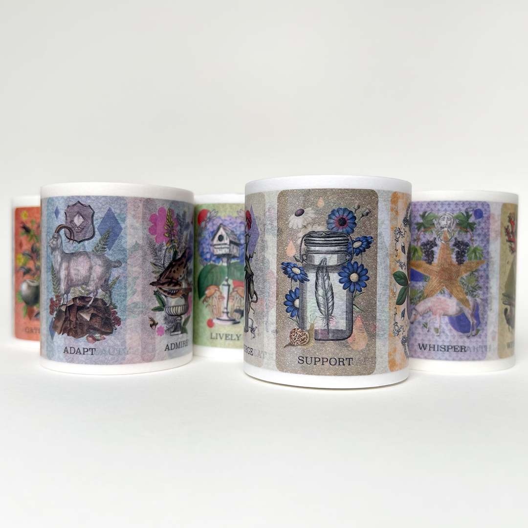Coastal Curiosities Washi Tape 5 Pack