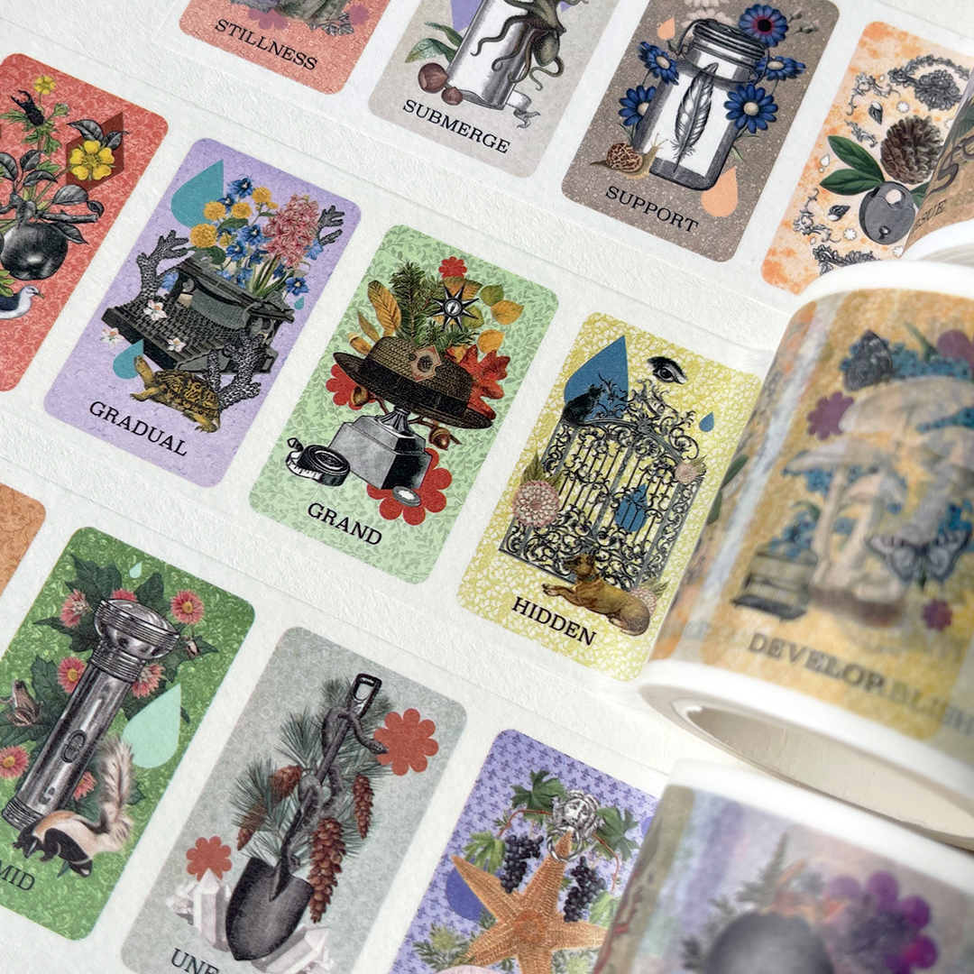 Coastal Curiosities Washi Tape 5 Pack