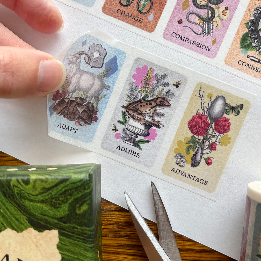 Coastal Curiosities Washi Tape 5 Pack