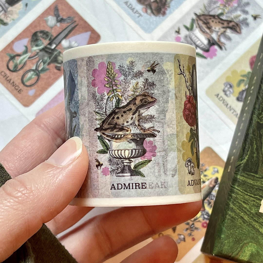 Coastal Curiosities Washi Tape 5 Pack