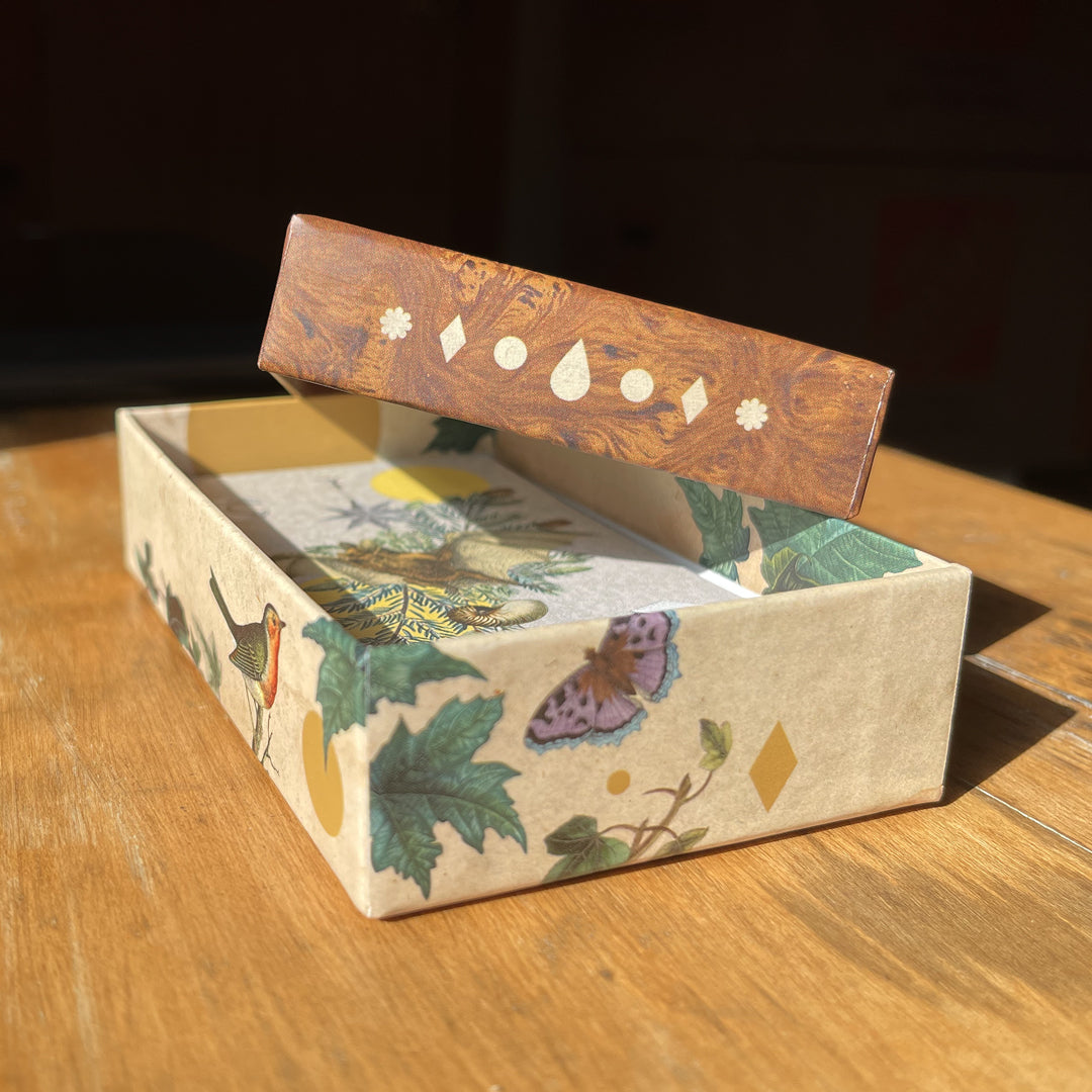 Coastal Curiosities Oracle Deck 1st Edition