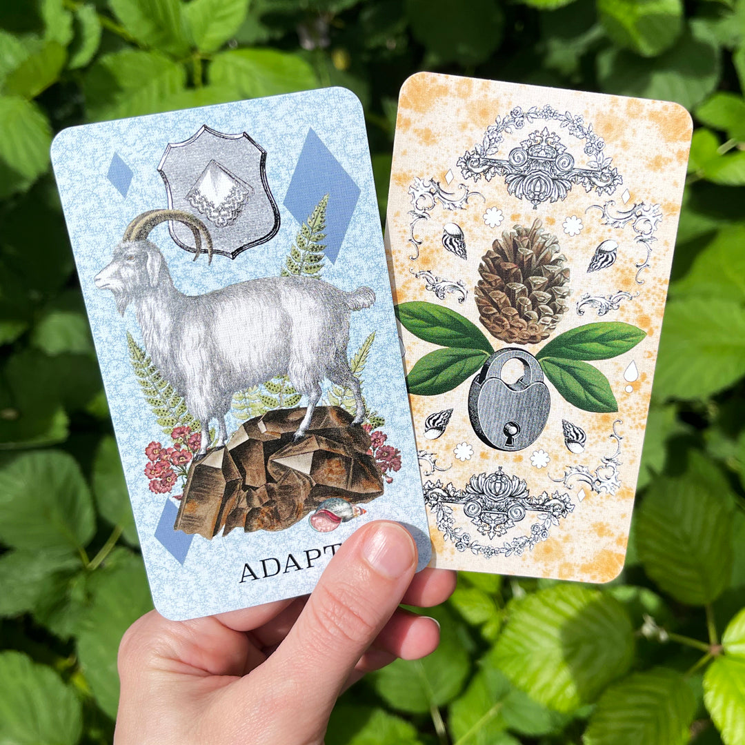 Coastal Curiosities Oracle Deck 2nd Edition