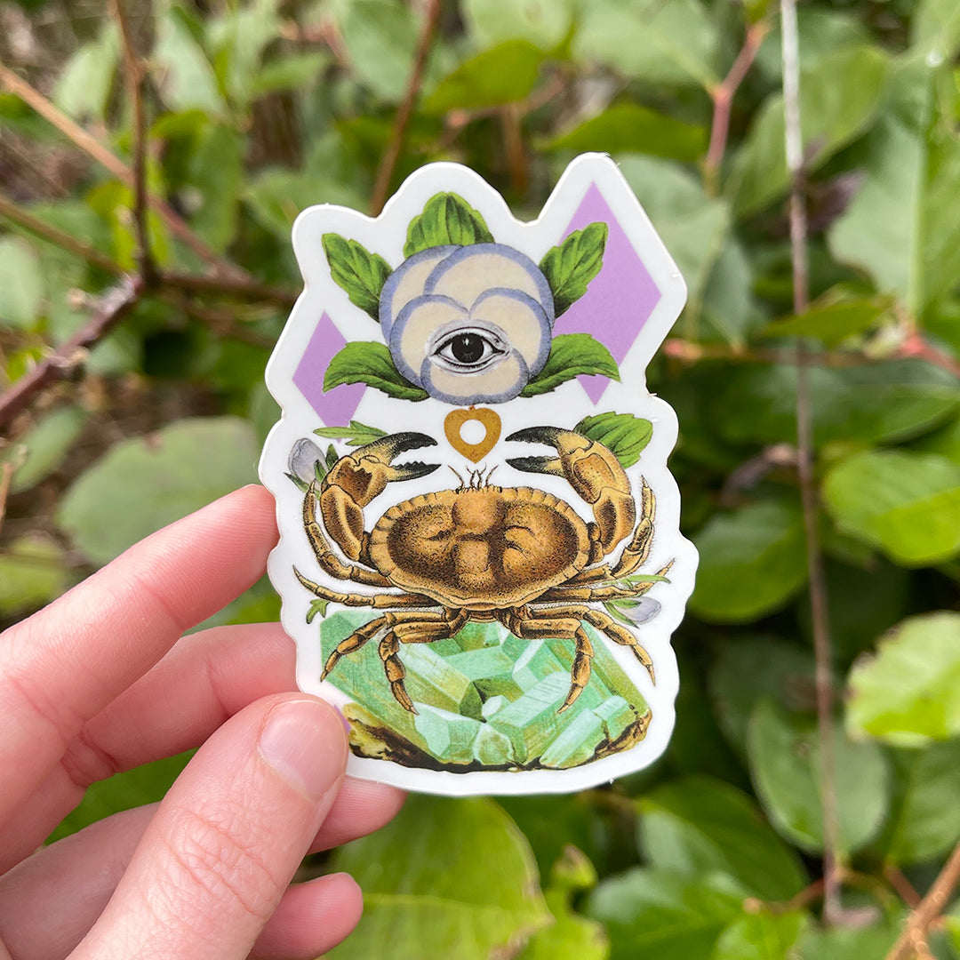 Coastal Curiosities Stickers