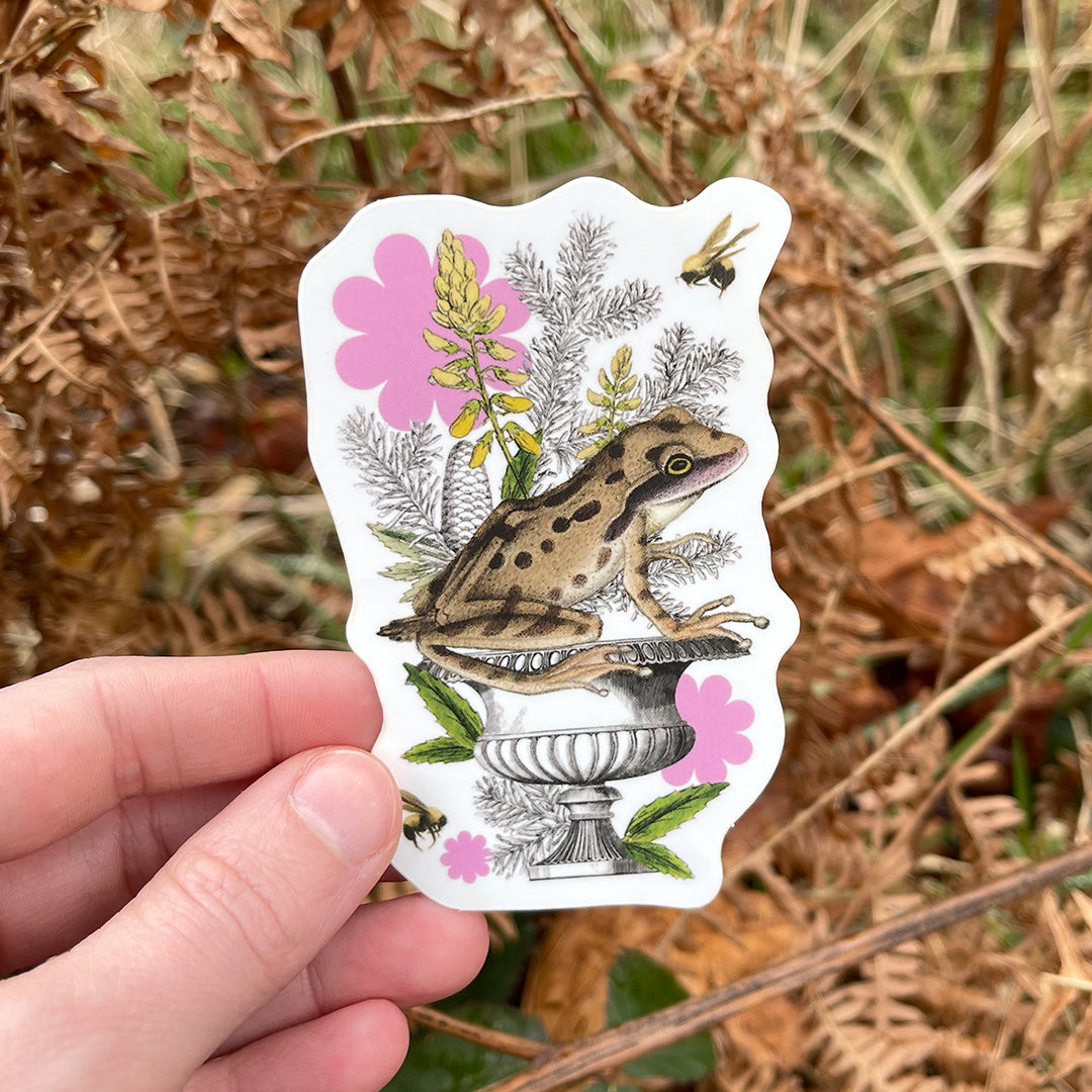 Coastal Curiosities Stickers