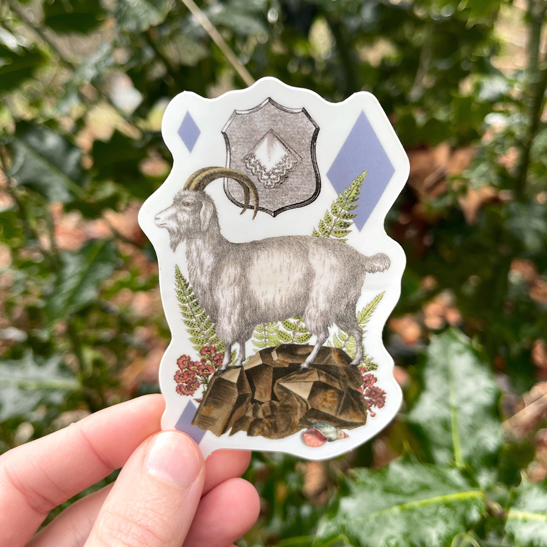 Coastal Curiosities Stickers