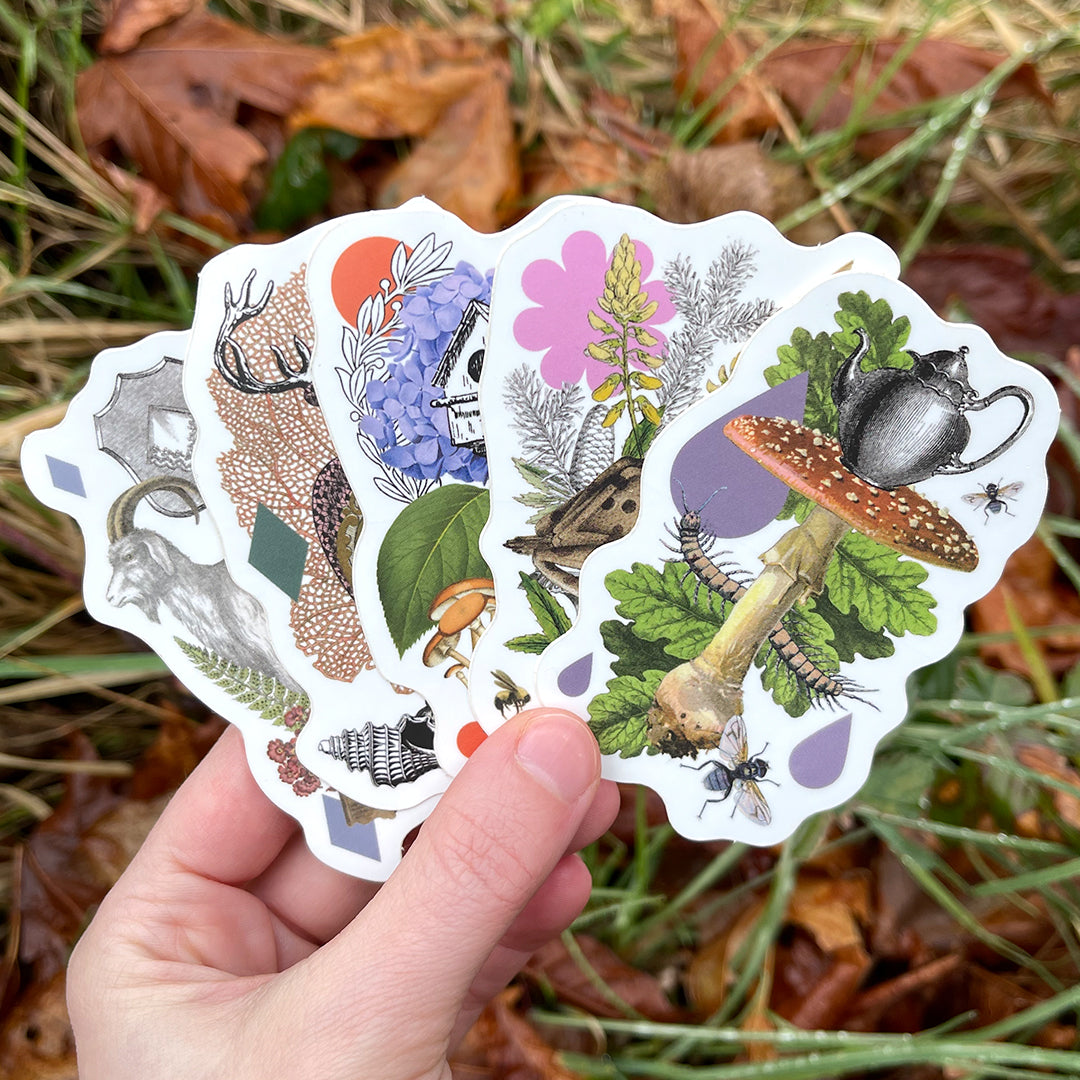 Coastal Curiosities Stickers