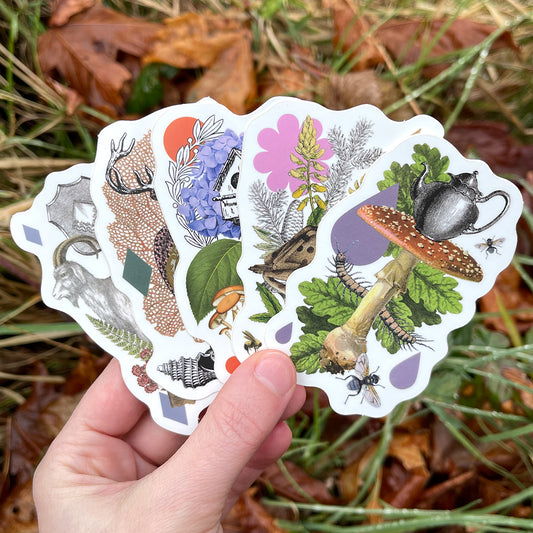Coastal Curiosities Stickers