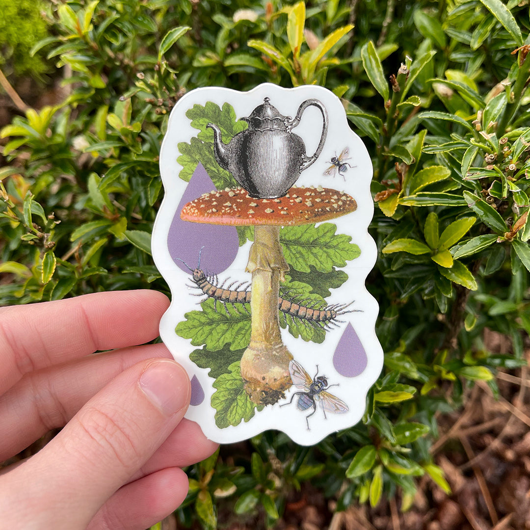 Coastal Curiosities Stickers