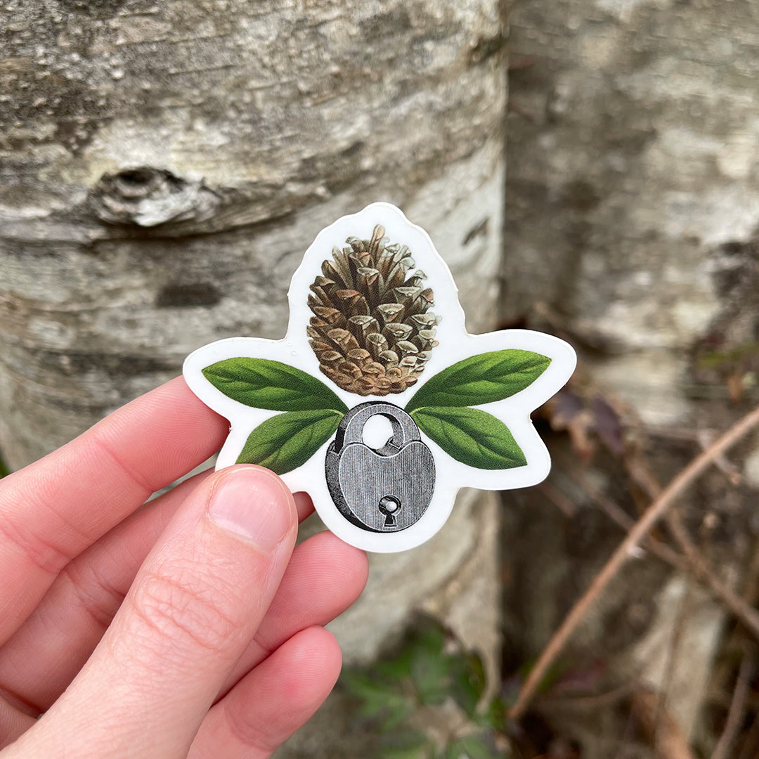 Coastal Curiosities Stickers