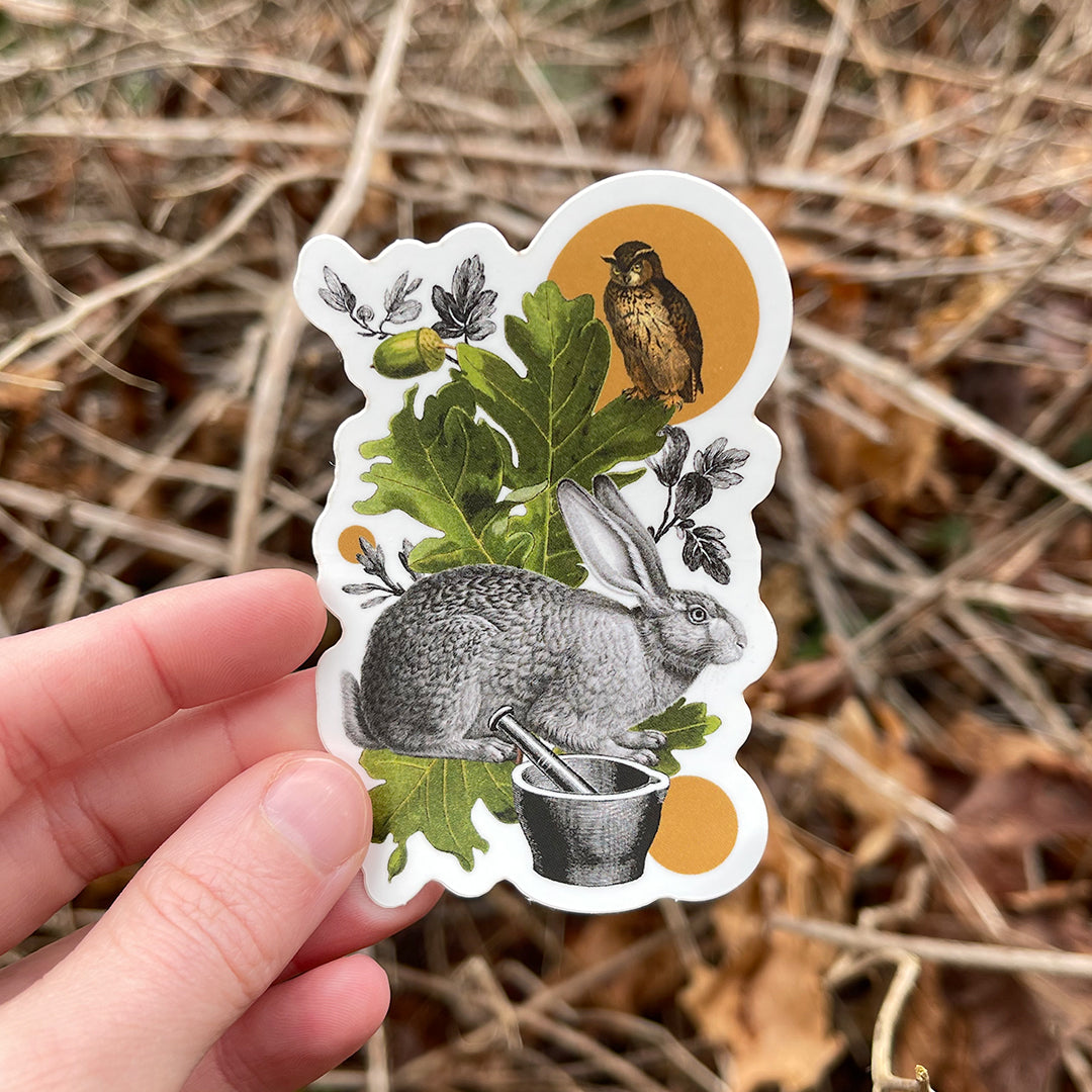 Coastal Curiosities Stickers