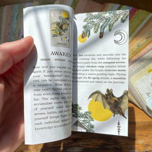 Coastal Curiosities Oracle Deck 2nd Edition